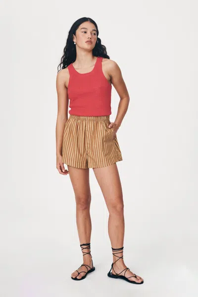 Rowie The Label Rocco Stripe Boxer Shorts In Brown