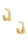 Roxanne Assoulin Double Cobra Hoop Earrings In Gold
