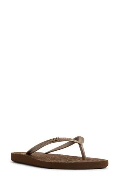 Roxy Antilles Flip Flop In Brown