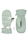 Roxy Chloe Kim Water Repellent Ski Mittens In Green