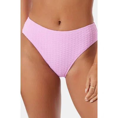 Roxy Haleiwa Hipster Bikini Bottoms In Purple
