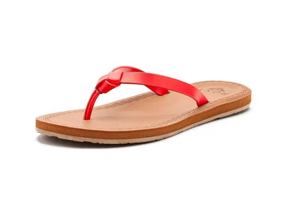 Roxy Luv Me Knot In Red