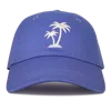 Roxy Next Level Cap In Very Peri