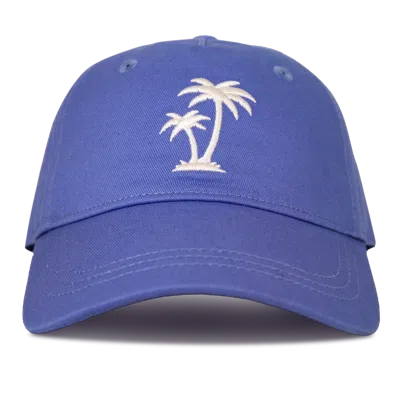 Roxy Next Level Cap In Very Peri