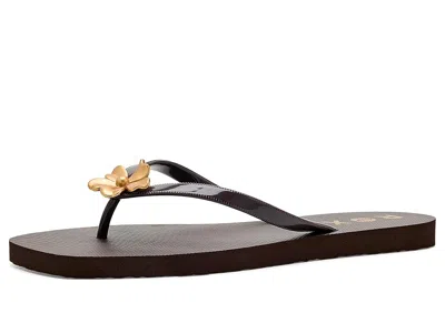 Roxy Sea Star Women's Sandals Brown: 11 M, Rubber