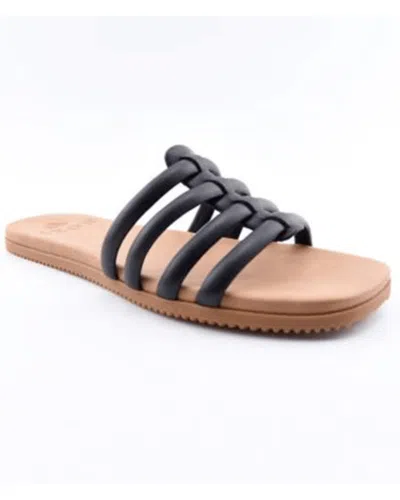 Roxy Stellar Slip On Sneaker In Black