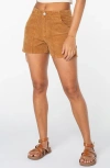 Roxy Throwback Corduroy Shorts In Chipmunk Saltwater Stripe