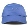 Roxy Tw Dear Believer Baseball Cap In Blue