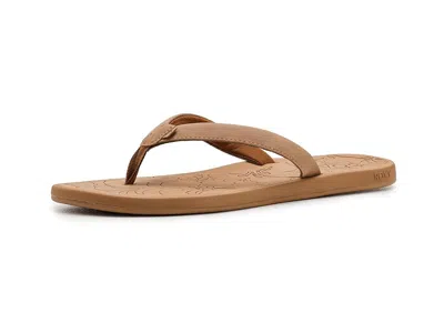 Roxy Vickie In Multi