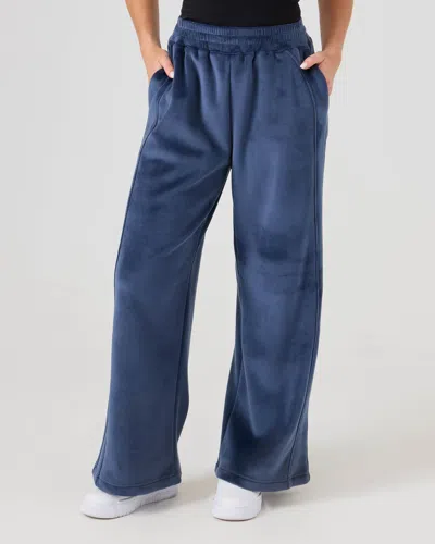 Roxy Vivi Bonded Velour Pants In Blue
