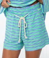 Roxy West Coast Stripe Shorts In Green