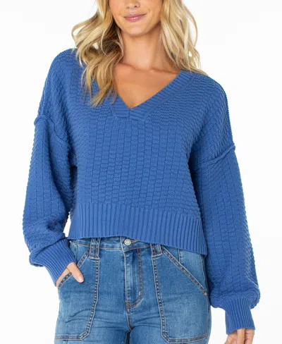 Roxy Study Hall V-neck Cotton Blend Sweater In Blue