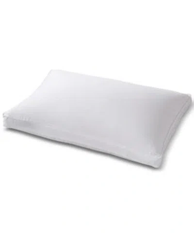Royal Luxe Cotton Down Alternative Pillow Exclusively At Macys In White