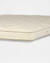 Royal-pedic Dream Spring Deluxe Pillowtop Pad In Brown