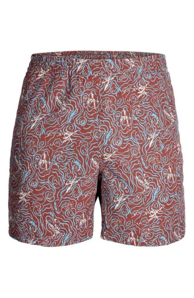 Royal Robbins All In Shorts In Brown