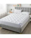 Royal Velvet European White Down Mattress Pad In White