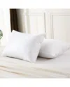 Royal Velvet Set Of Two 233 Thread Count White Goose Nano Down & Feather Pillows