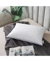 Royal Velvet White European Down And Nano Feather Pillow In White