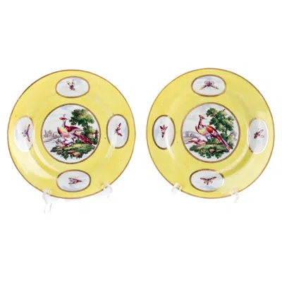 Pre-owned Royal Worcester Pair Of Antique Worcester Bird Plates In Sand