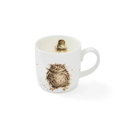 Royal Worcester What A Hoot Mug (owl), 11 oz In White