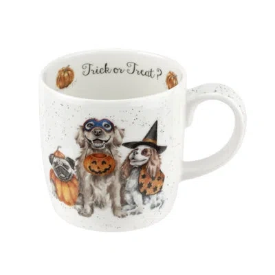 Royal Worcester Wrendale Designs Porcelain Coffee Mug In White