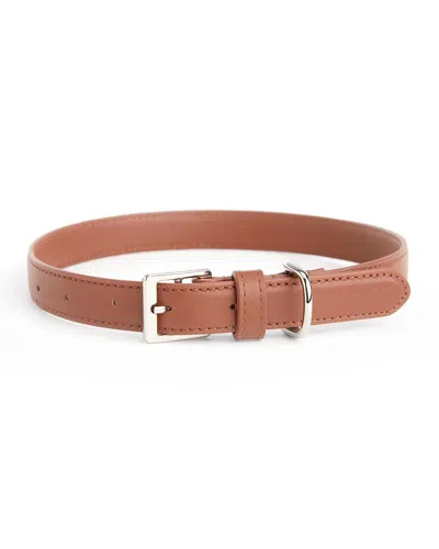 Royce New York Medium Luxe Dog Collar In Brown