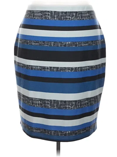 Pre-owned Roz & Ali Casual Skirt In Blue