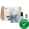 Roz The Mini Essentials Kit
