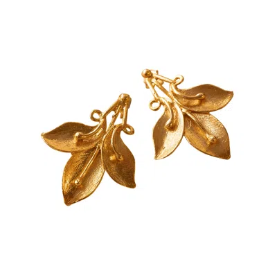 Roz Women's Gold Aza Earrings