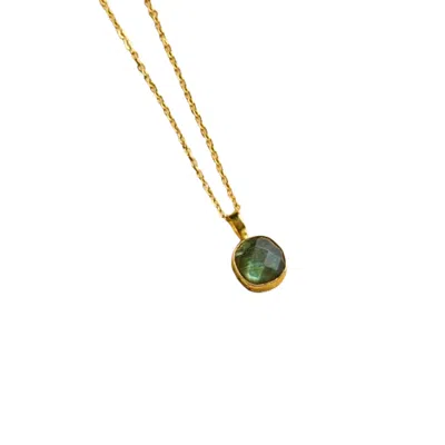 Roz Women's Green Myra Necklace - Labradorite In Gold