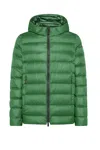 Rrd Green In Green