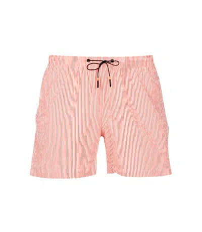 Rrd Shorts Coral+white In Pink