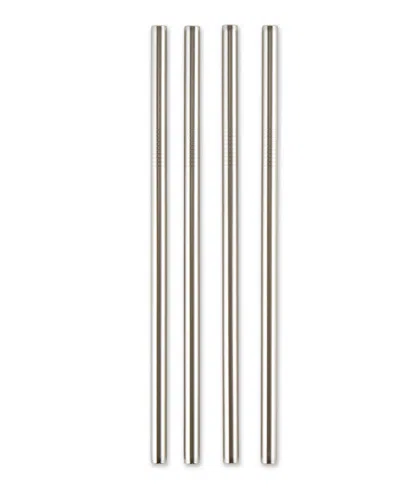 Rsvp International Endurance Stainless Steel 4 Piece 8.5" Frozen Drink Straws In Gray