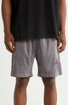 Rta Clyde Shorts In Stone Script Logo