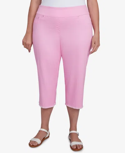 Ruby Rd. Plus Size Oasis Pull On Fringe Denim Capri Pants In Cyclamen