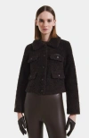 Rudsak Blair Short Wool Teddy Jacket In Brown
