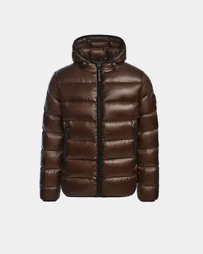 Rudsak Demian S Men's Glossy Quilted Down Puffer In Brown