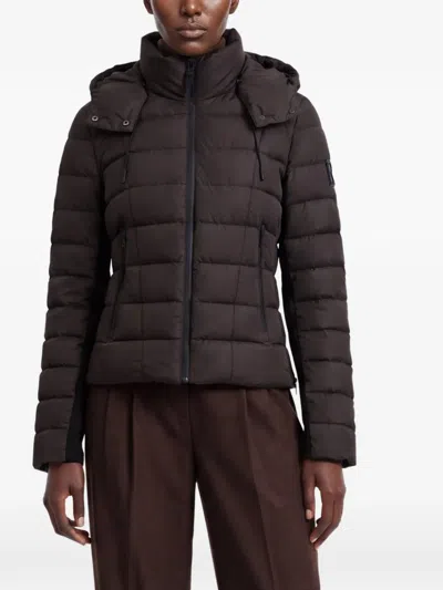 Rudsak Melissa Hooded Quilted Jacket In Multi