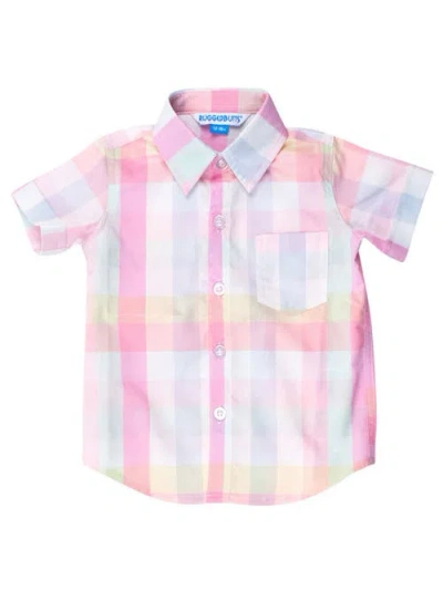 Rufflebutts Kids'  Boys Short Sleeve Button Down Shirt In Multi