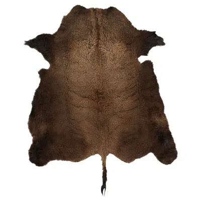 Pre-owned Rug & Kilim 's American Bison Hide Fur Rug In Chocolate Brown Tones
