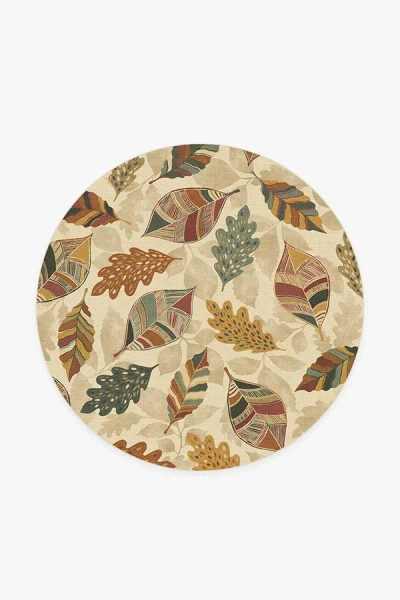 Ruggable Aurelia Amber Flatwoven Rug In Brown
