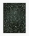 Ruggable Web Soft Black Flatwoven Rug In Black