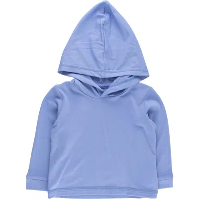 Ruggedbutts Babies'  Boys Upf50+ Sun Protective Hooded Shirt In Blue
