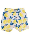 Ruggedbutts Baby Boys Upf50+ Swim Trunks In Multi