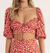 Rumer Catalina Crop In Rust In Brown