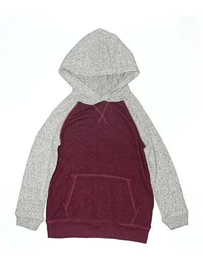 Pre-owned Rumi + Ryder Kids' Pullover Hoodie In Burgundy