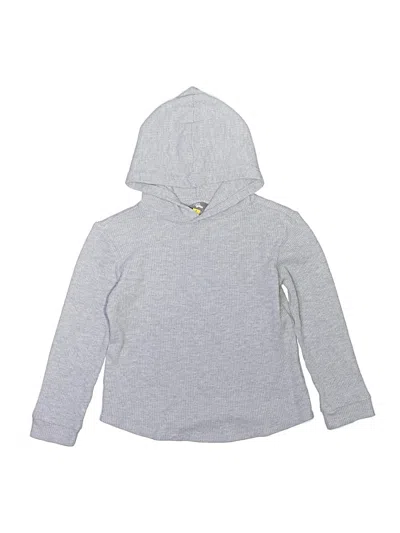 Pre-owned Rumi + Ryder Kids' Pullover Hoodie In Silver