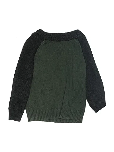 Pre-owned Rumi + Ryder Kids' Pullover Sweater In Green
