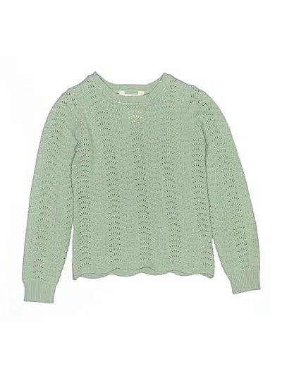 Pre-owned Rumi + Ryder Kids' Pullover Sweater In Green