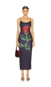 Runaway The Label Deia Midi Dress In Rose On Black
